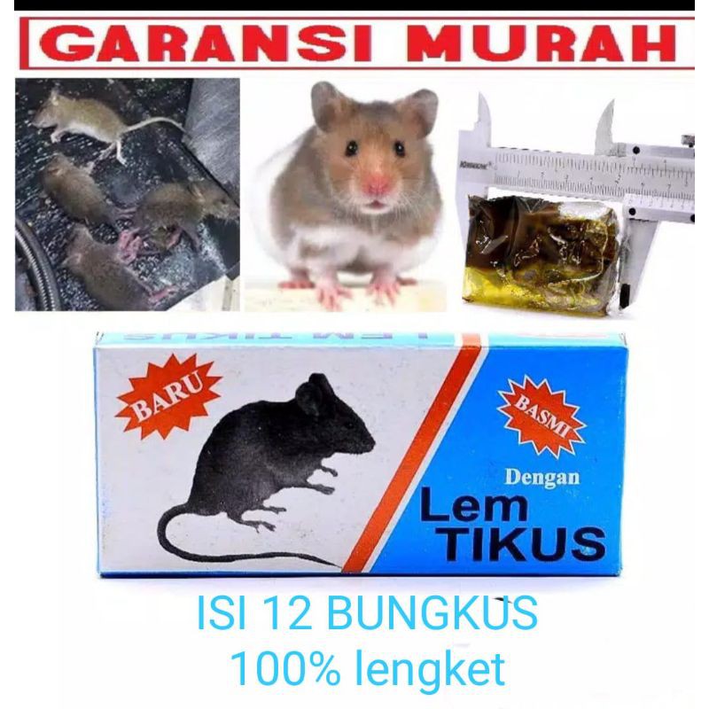 LEM PERANGKAP TIKUS ISI 12 BUNGKUS