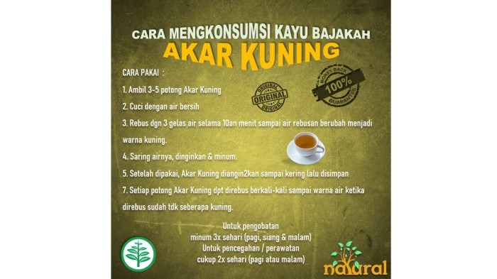 bajakah - kayu bajakah - akar bajakah -bajakah kuning asli kalimantan