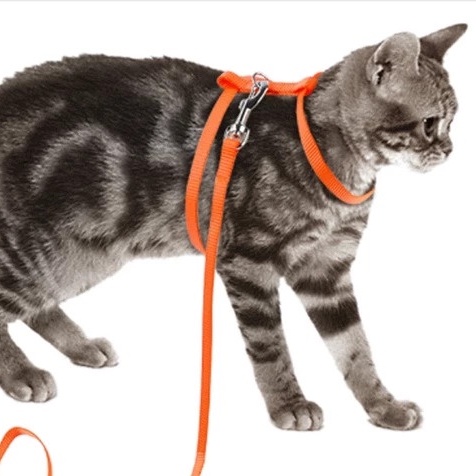 Harness H Hernes Tali Hewan Kalung Tuntun Badan Kucing Musang Kelinci FEFARM