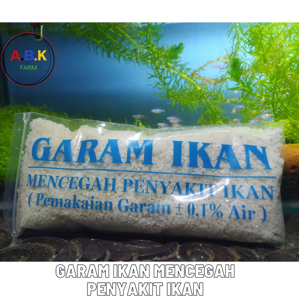 garam garem ikan krosok untuk mencegah penyakit ikan