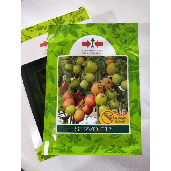 Benih tomat SERVO F1 1750 butir. tomat hibrida cap panah merah