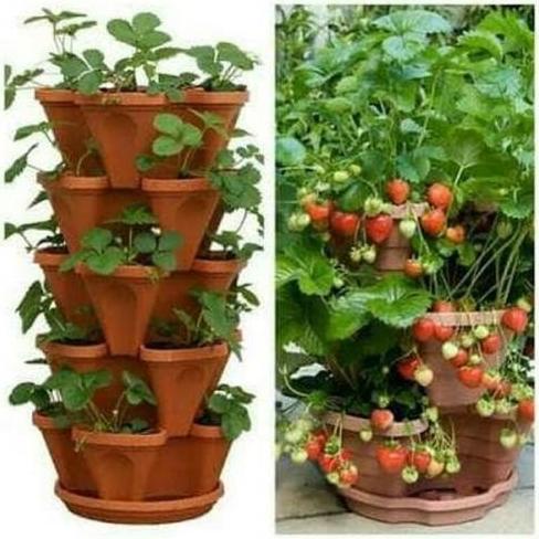 NEW Pot Tanaman gantung Susun 5 + Tatakan Bawah bunga tingkat vertikal s5