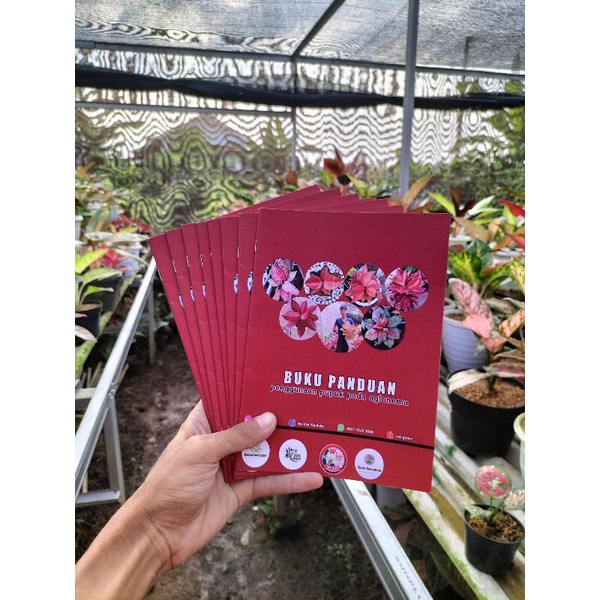 paket pupuk aglonema + buku panduan