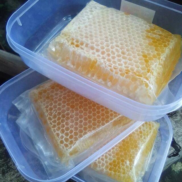 

Madu sarang