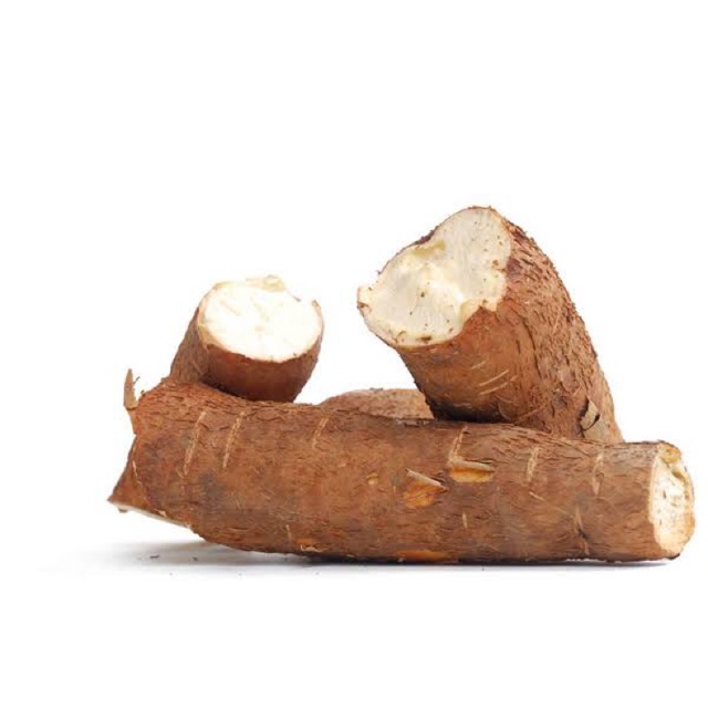 

Singkong Organik 1kg ( Organic Cassava )