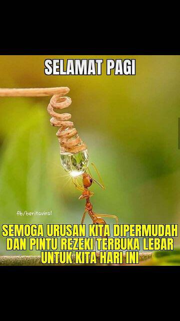 Meteran Jalan Tancap Fiber 50 Meter / Meteran Tanah