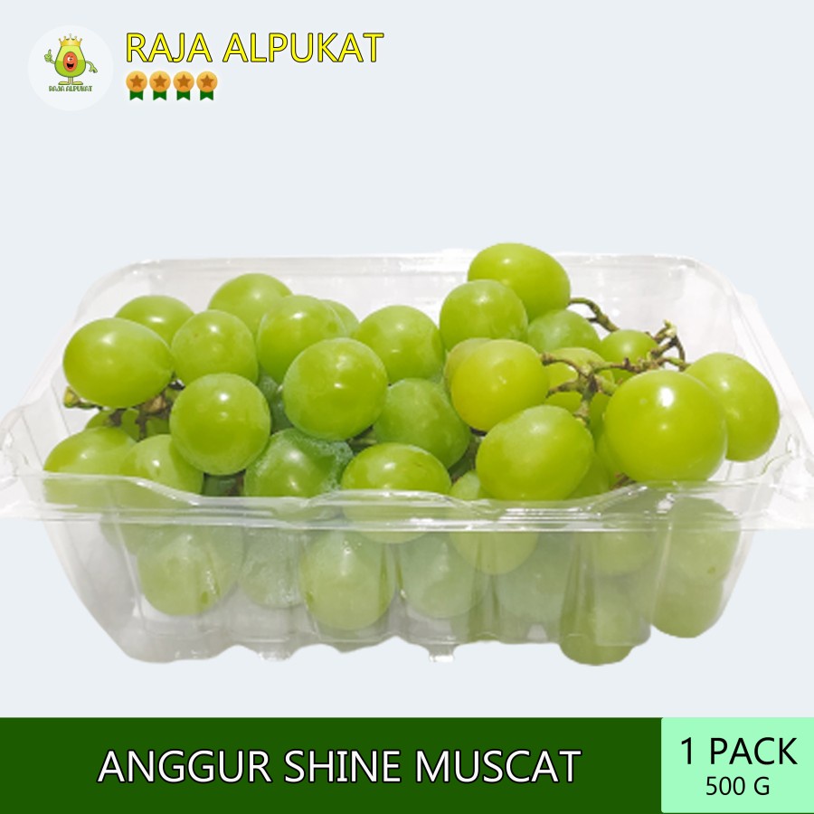 

Anggur Ijo Shine Muscat Seedless (1 Pack)