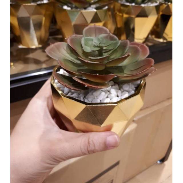 Tanaman artificial hias |tanaman palsu Yucca hijau pot gold