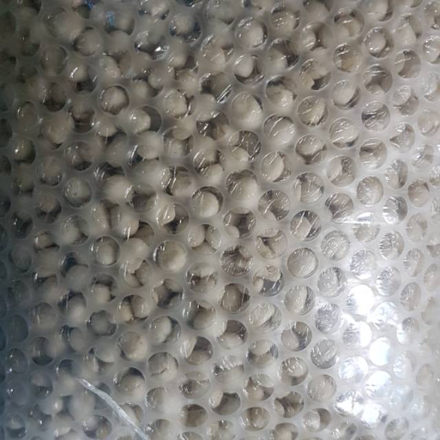 

Bubble Wrap Tambahan