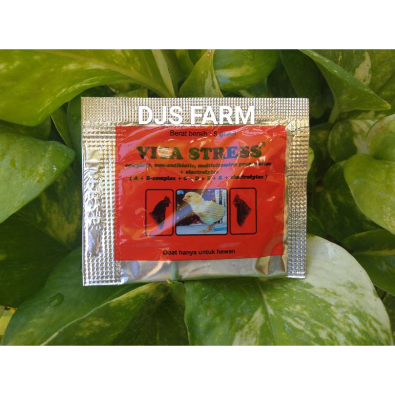 Vita Stress 5 gram Medion Vitamin Obat Ayam Unggas Itik Burung Bebek Vitastress Vita Stres vitastres