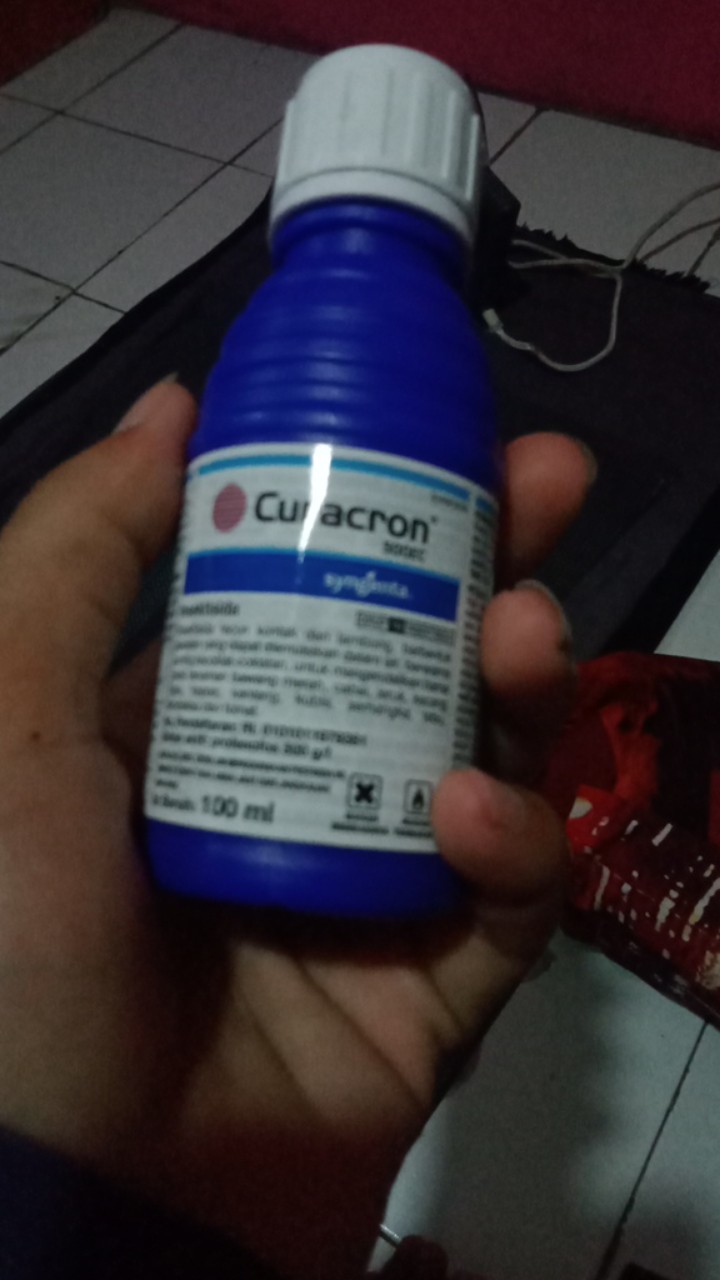 Insektisida Pembasmi Hama Kutu Putih Curacron 500ec-100ml