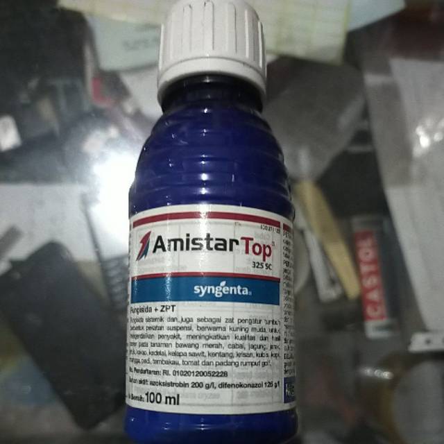 Amistartop