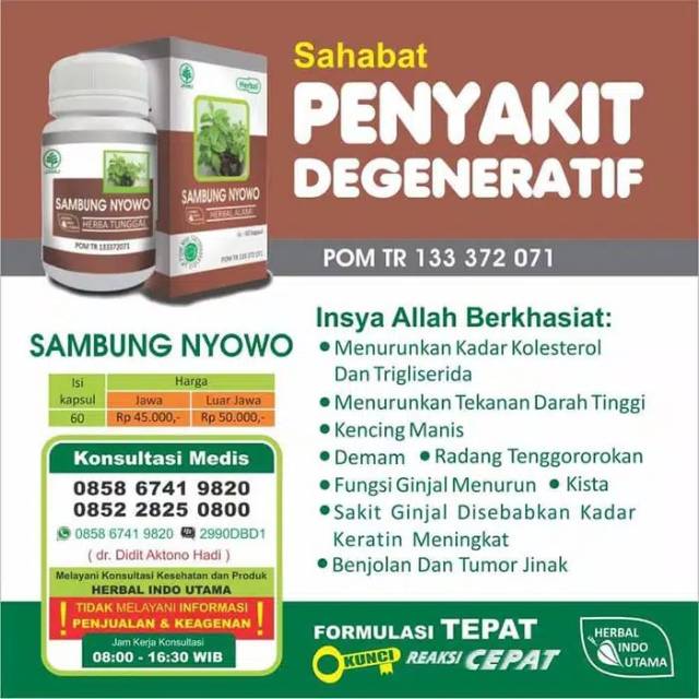 Hiu Sambung Nyowo - Kolesterol Darah Tinggi Diabetes Radang Tenggorokan dll