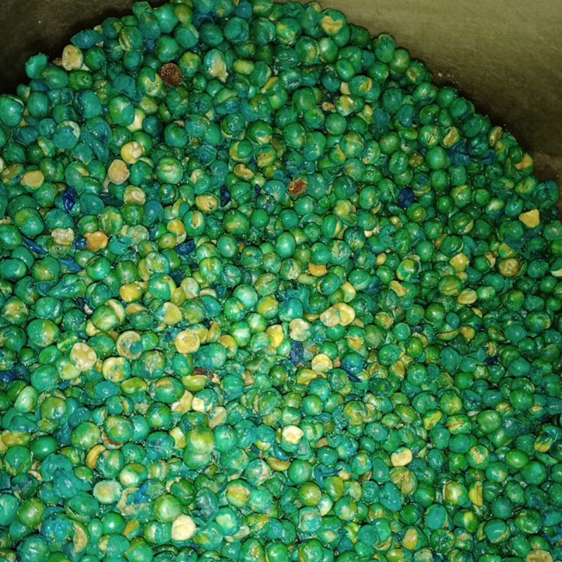 

KACANG POLONG