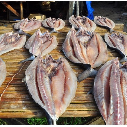 

500gr Ikan Gabus Kering/ Ikan Gabus Asin/ Ikan Asin Gabus