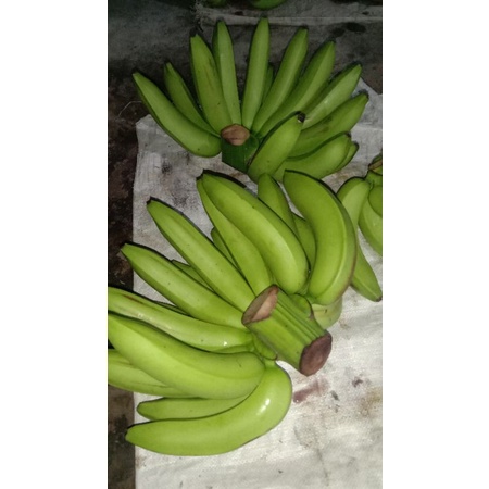 

pisang Ambon super