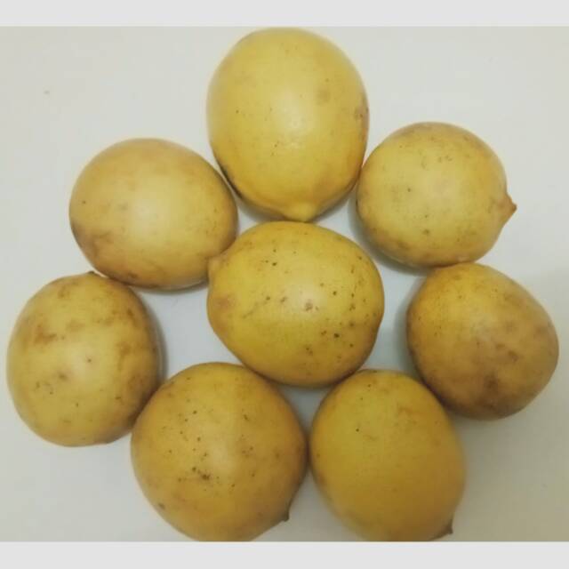 

Lemon Segar