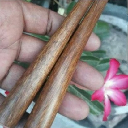 pipa once cangklong kayu gaharu