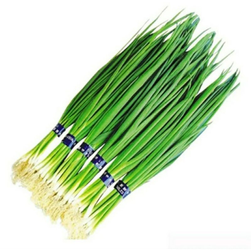 

bawang cung / daun bawang cung 1 kg