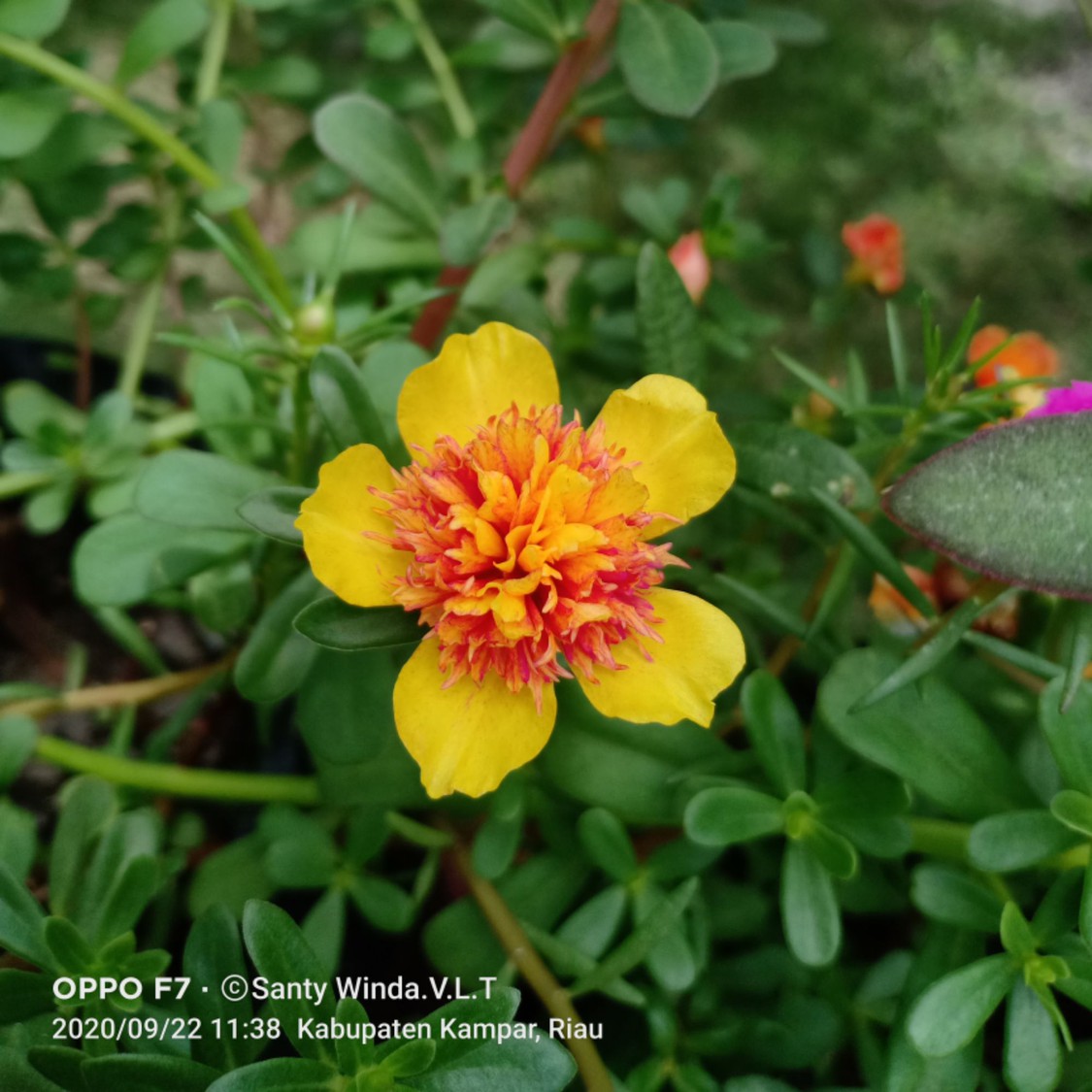 santytobing057