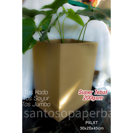

paperbag parcel/tas nasi/tas sepatu/tas buket/tas hampers (1kg=10) SUPER TEBAL