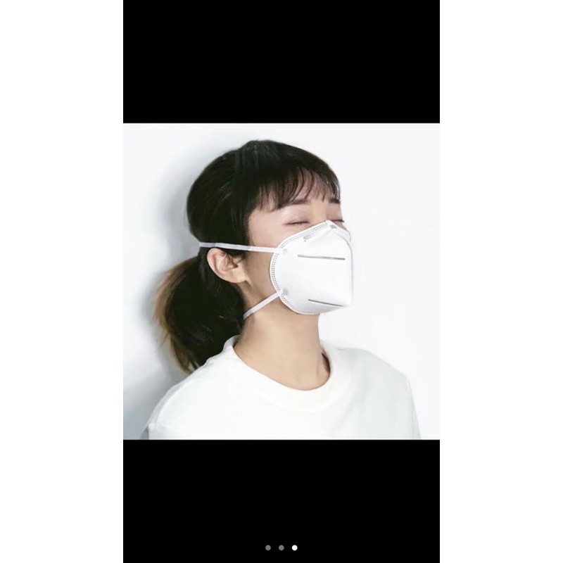 HONEYWELL H910 Plus KN95 Particulate Respirator