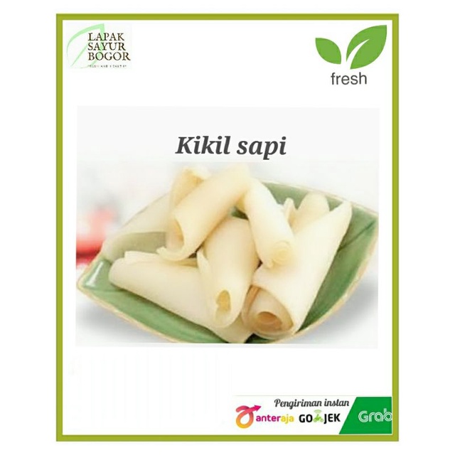 

kikil sapi segar