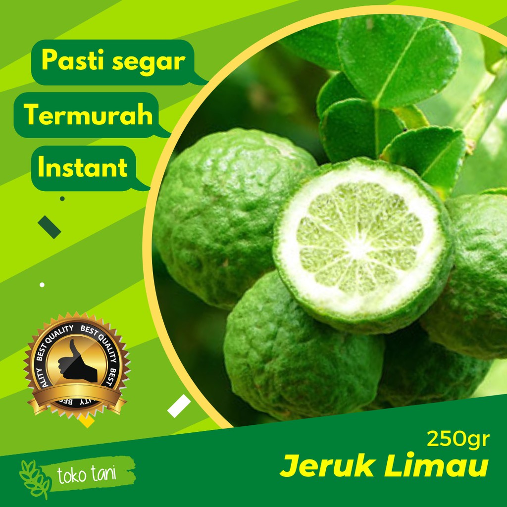 

Jeruk Limau Limo 250gr