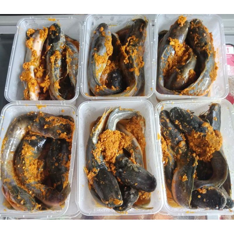 

Lele bumbu kuning