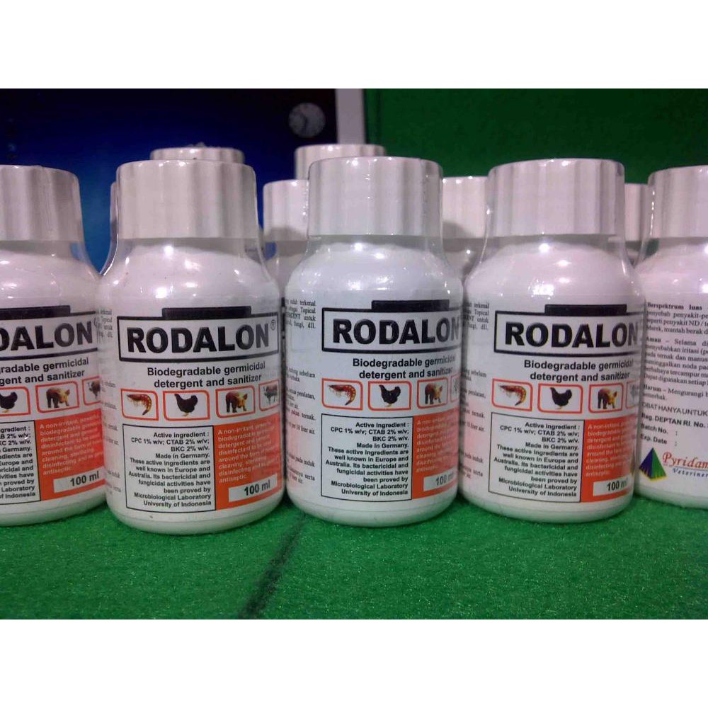 rodalon antiseptik dan disinfektan 100 ml