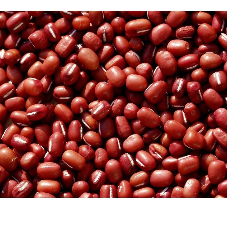 

Import Terlaris Kacang Merah ADZUKI 500Gr SUPER Import China / Azuki Red Beans murah