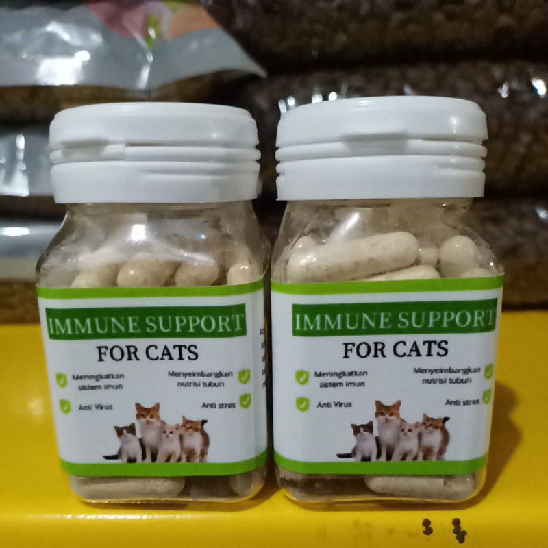 immune support cat vitamin kucing isi 50 kapsul