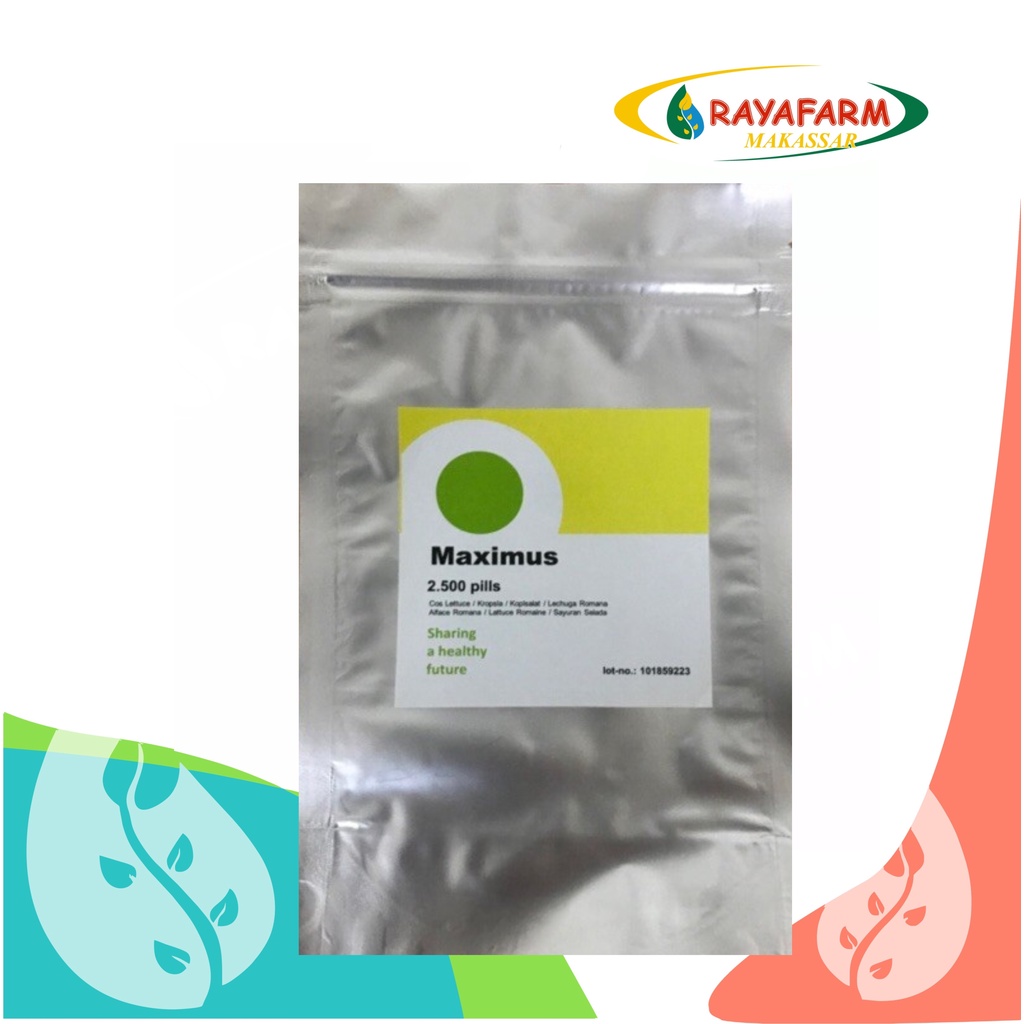 BENIH ROMAINE RZ MAXIMUS 2500 pills