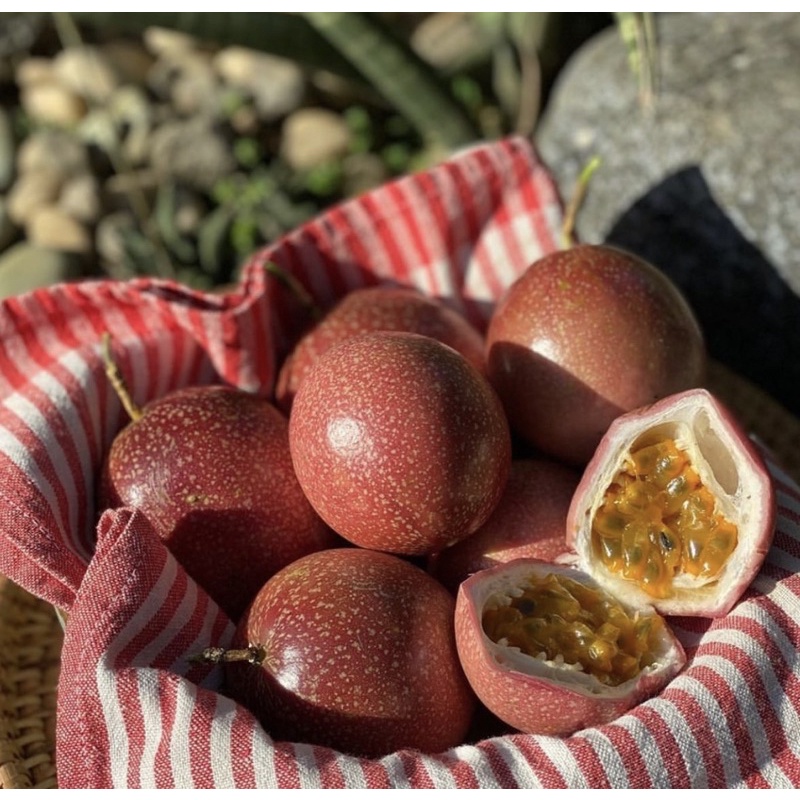 

MARKISA | Manis seger buah markisah Markisah murah