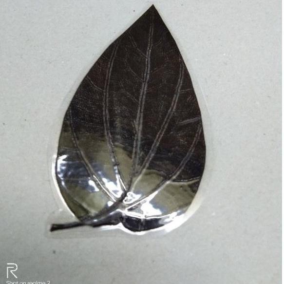 Daun sirih hitam asli (KODE C4707)