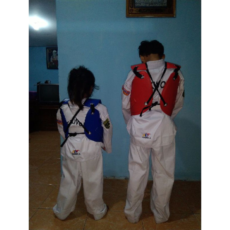 body protektor,alat silat, beladiri