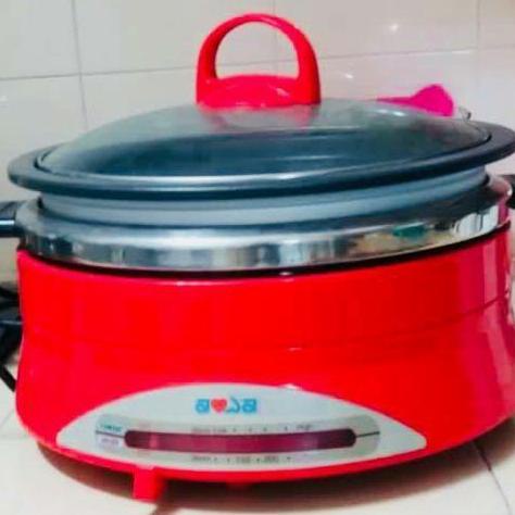 Aowa electric multi cheap cooker