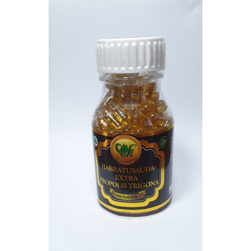 Habatussauda Trigona