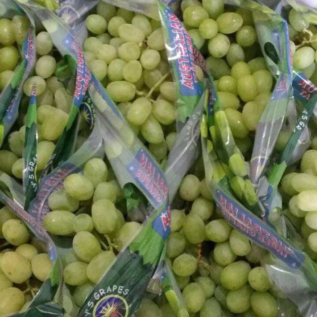 

Anggur Hijau @80 rb per pack(900 gram)