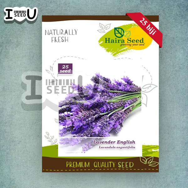 Haira Seed BIbit-Biji Bunga Lavender English