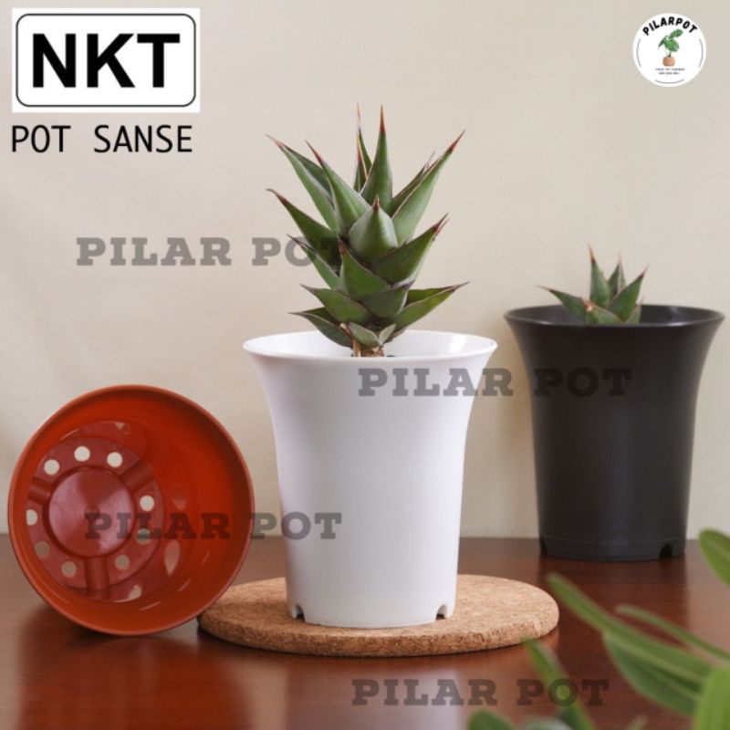 pot bunga tanaman nkt sanse 08cm berkualitas - NKT SANSE 08