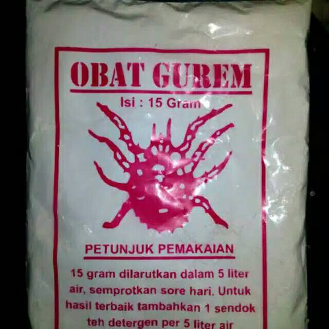 OBAT GUREM obat kutu ayam gurem