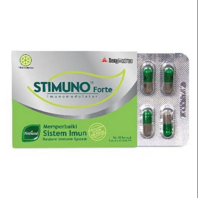 STIMUNO FORTE Bahan Herbal karya anak bangsa untuk menjaga daya taham tubuh agar tidak gampang sakit