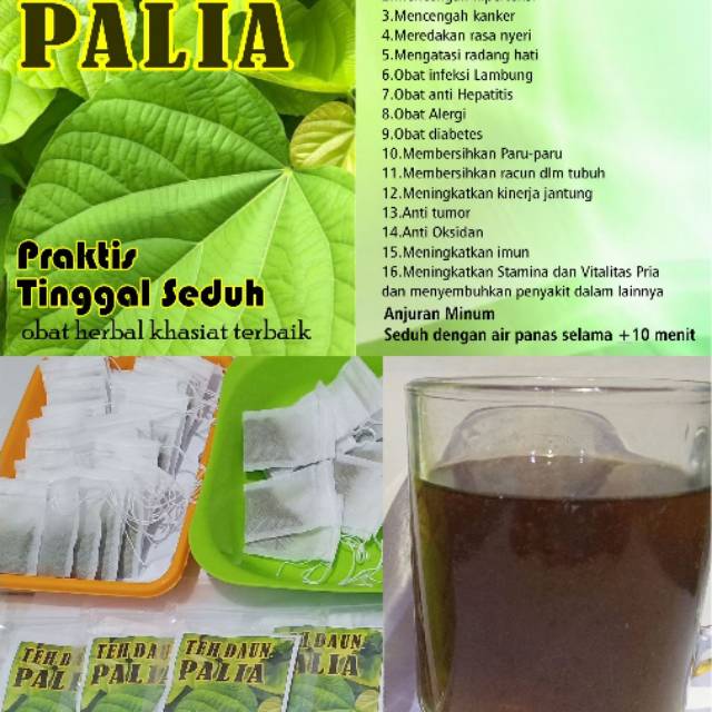 

TEH SEDUH DAUN PALIASA