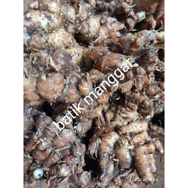 

kencur 250gram