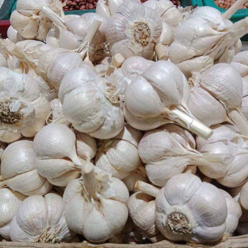 

Bawang Putih Kating 1kg