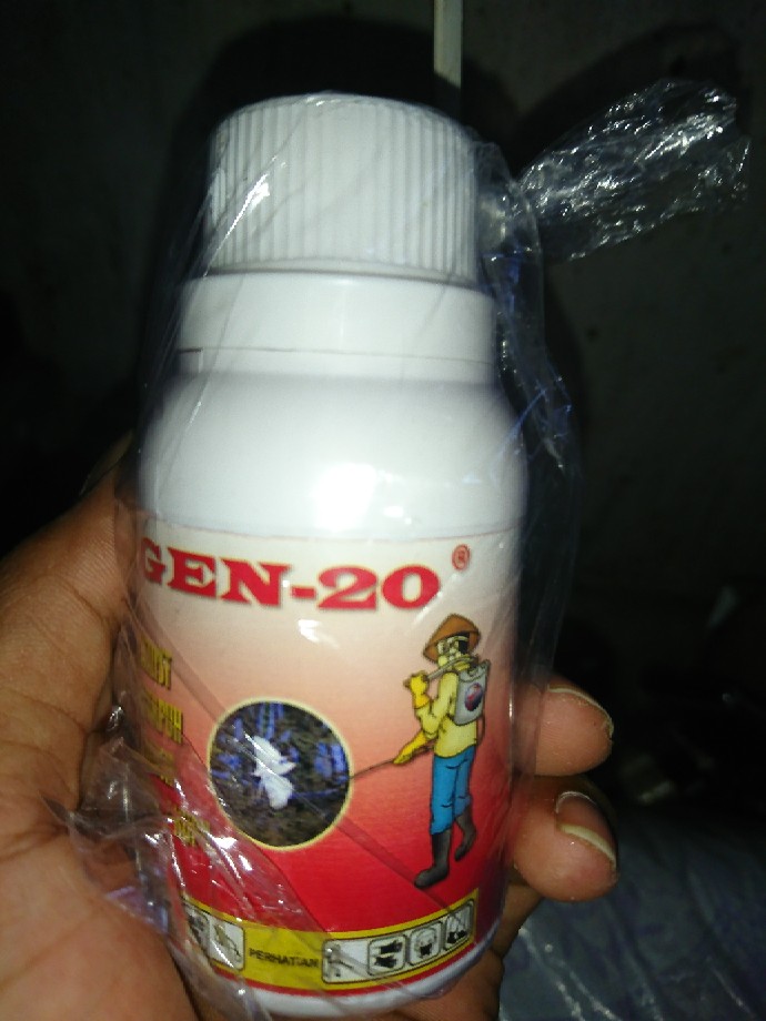 Obat Pertanian Gen-20 Merupakan Catalys Pembasmi Klaper Dan Wereng