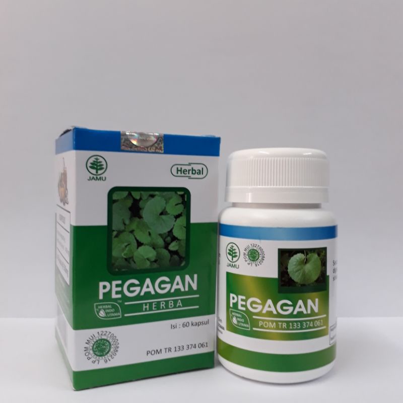 

HIU Pegagan Original isi 60 Kapsul Herbal Nutrisi Otak/Jantung/Peredaran Darah/Pencernaan/Antioksidan