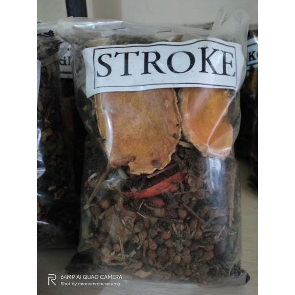 

jamu herbal STROKE