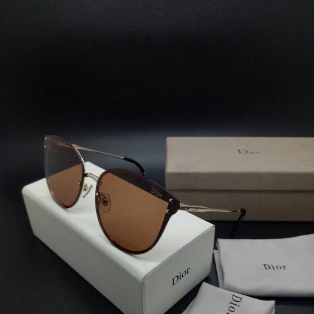 kacamata sunglasses Dior untarest  fashion gaya pria dan wanita full set